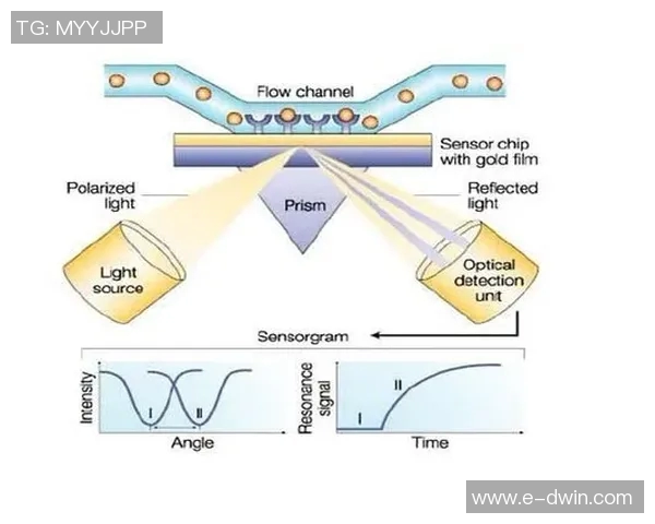 成都网球队灵活性分析及其对比赛表现的影响探讨 成都网球队灵活性分析及其对比赛表现的影响探讨