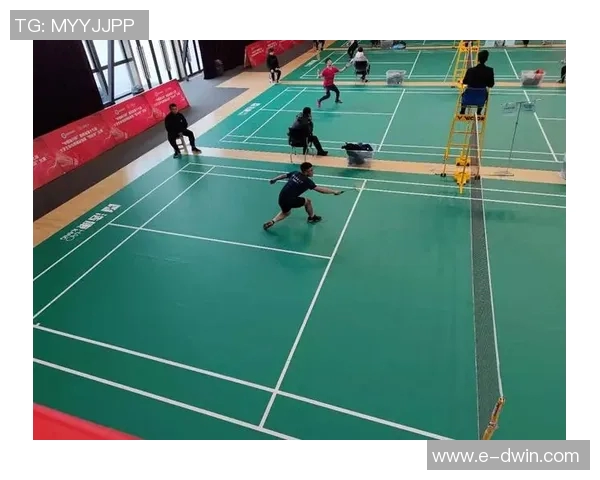 南京羽毛球队与西安羽毛球队赛后分析实力对比与战术探讨 南京羽毛球队与西安羽毛球队赛后分析实力对比与战术探讨