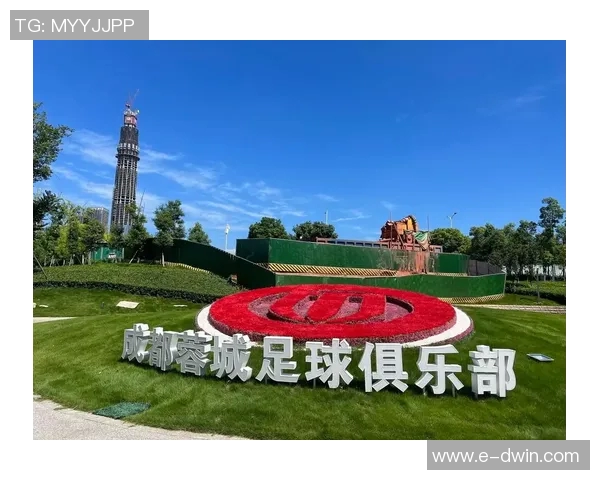 成都足球队运营模式探析与未来发展展望 成都足球队运营模式探析与未来发展展望