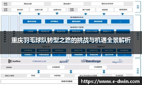 重庆羽毛球队转型之路的挑战与机遇全景解析